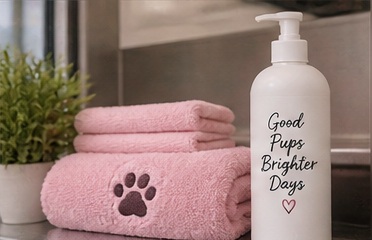 Professional pet grooming result